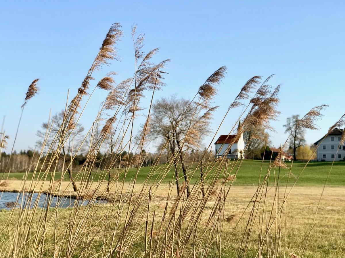 Landhotel Moorhof Franking Exteriör bild